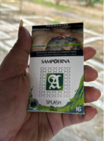 Sampoerna Splash Gala cigarettes 10 cartons