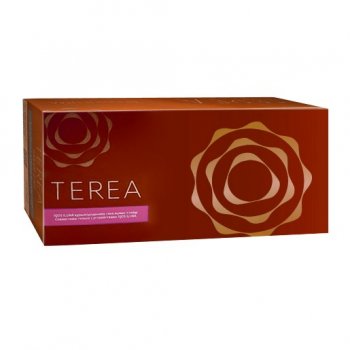 Heets TEREA Bronze from Kazakhstan 10 cartons