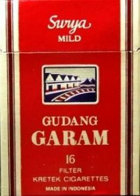 Gudang Garam Surya Mild cigarettes 10 cartons